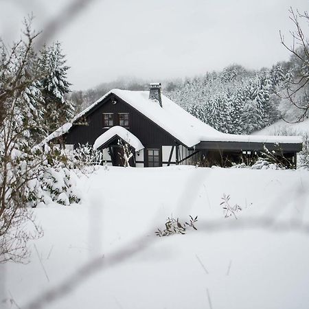 Romantikhuette Neuastenberg Winterberg Eksteriør billede