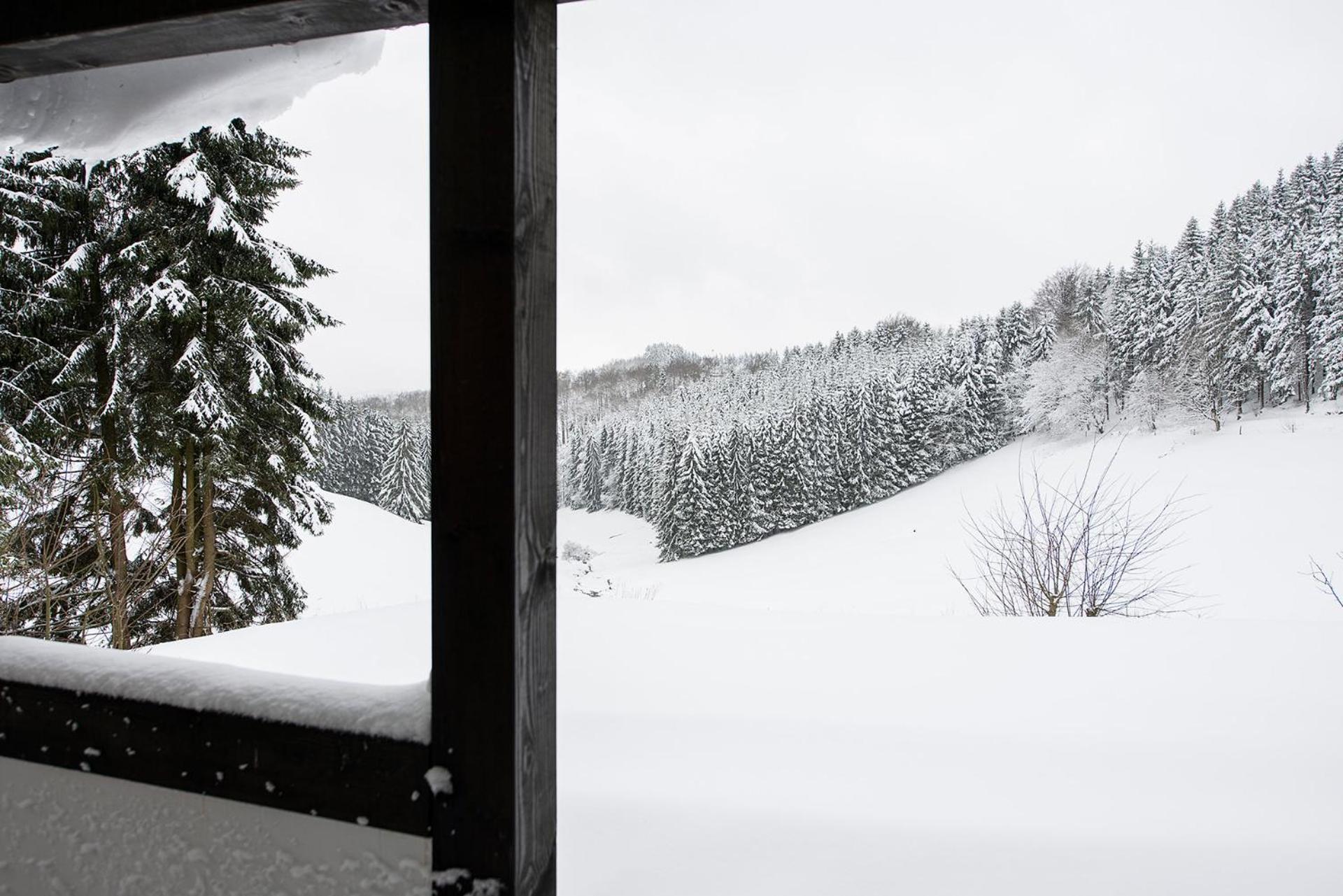 Romantikhuette Neuastenberg Winterberg Eksteriør billede